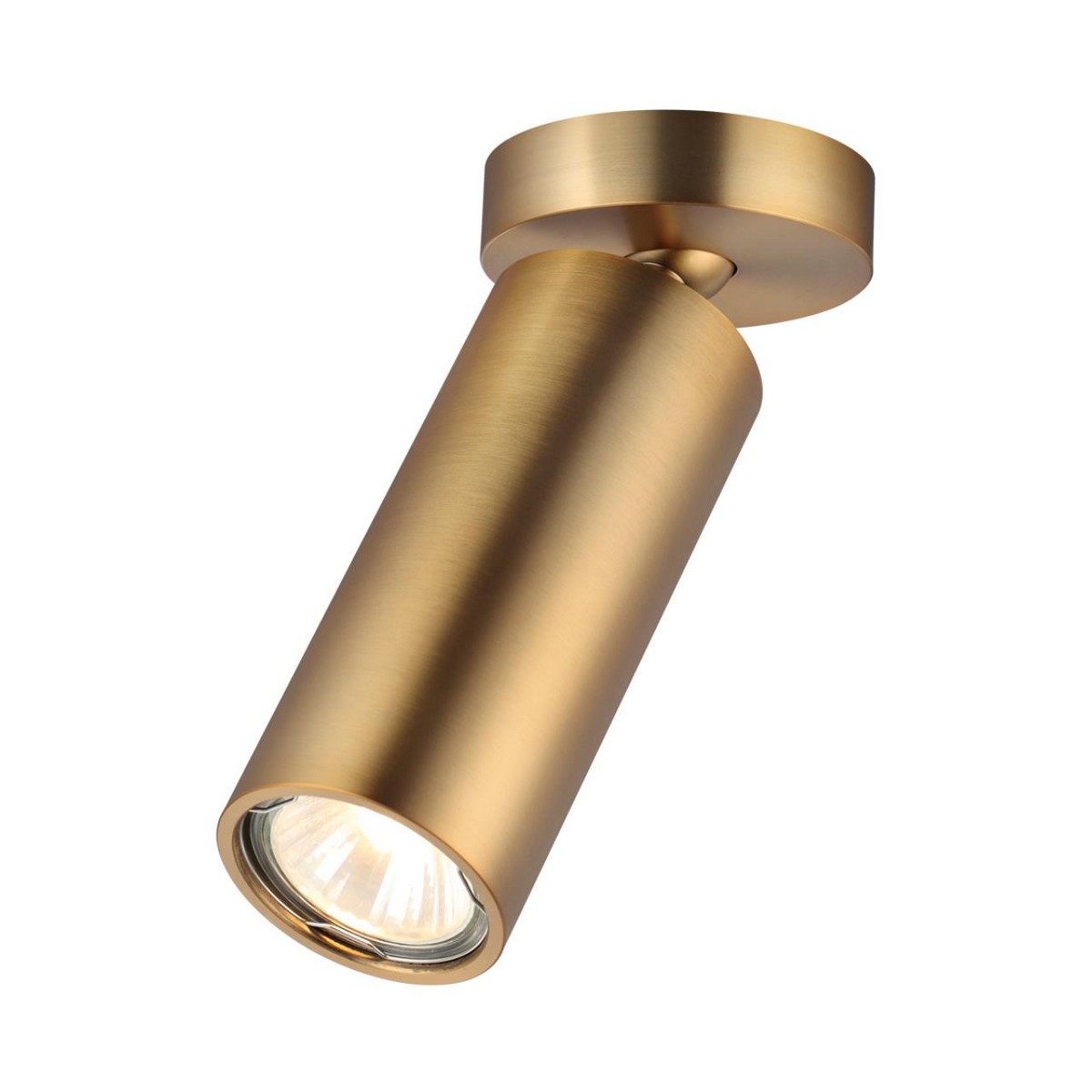 Накладные светодиодные светильники Потолочный накладной светильник ODEON LIGHT 4279/1C NINO 