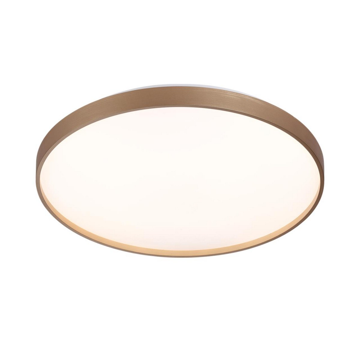 Управляемые светодиодные светильники и люстры Настенно-потолочный светильник СОНЕКС 7783/EL GABY 