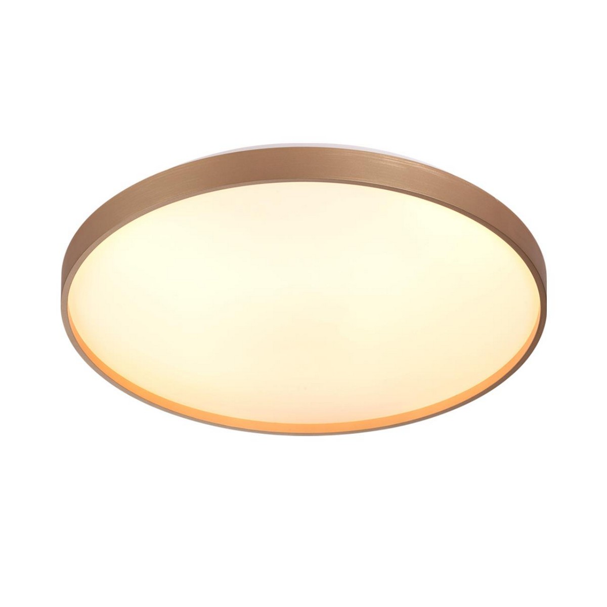 Управляемые светодиодные светильники и люстры Настенно-потолочный светильник СОНЕКС 7783/EL GABY 