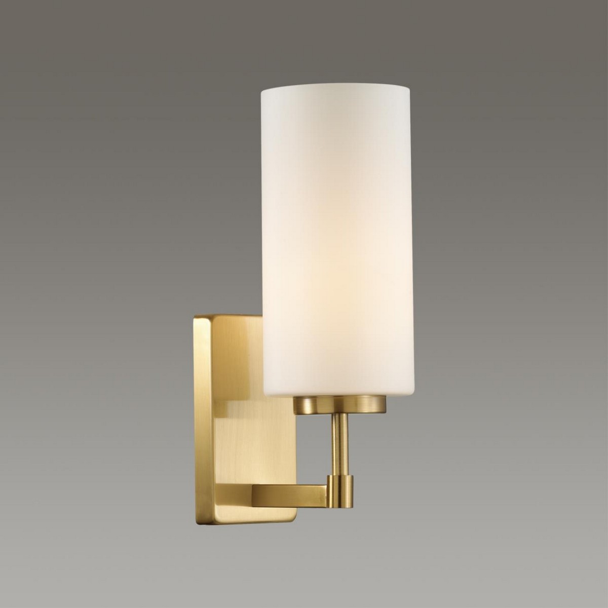 Бра Бра ODEON LIGHT 4990/1W KASALI 