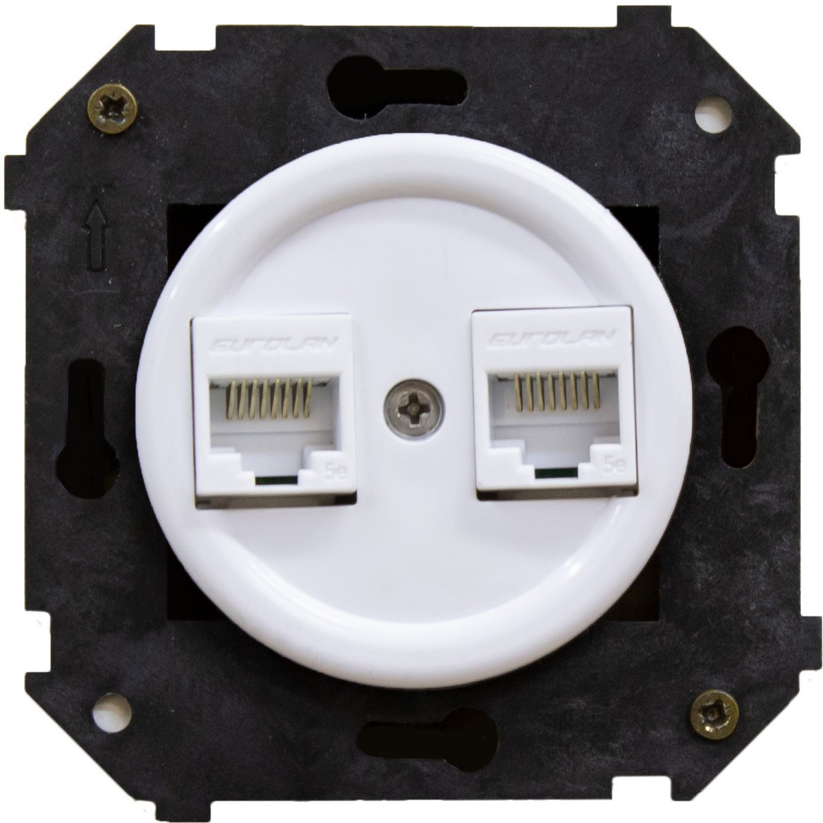 Bironi Лизетта - Ретро розетки и выключатели Розетка BIRONI Шедель Пластик Белый 2-ая RJ45 (скрытый монтаж) B3-302-21