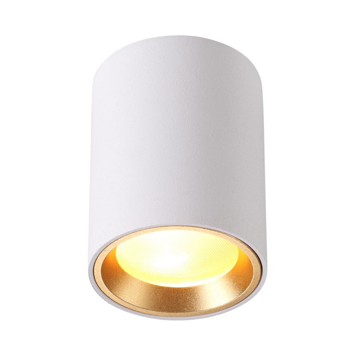 Накладные светодиодные светильники Потолочный светильник ODEON LIGHT 4206/1C AQUANA 
