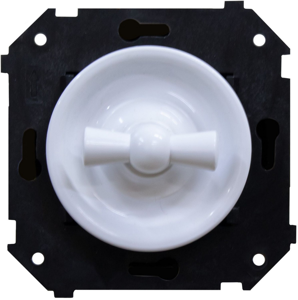 Bironi Лизетта - Ретро розетки и выключатели Выключатель BIRONI Шедель Пластик Белый 1-кл (скрытый монтаж) B3-200-21