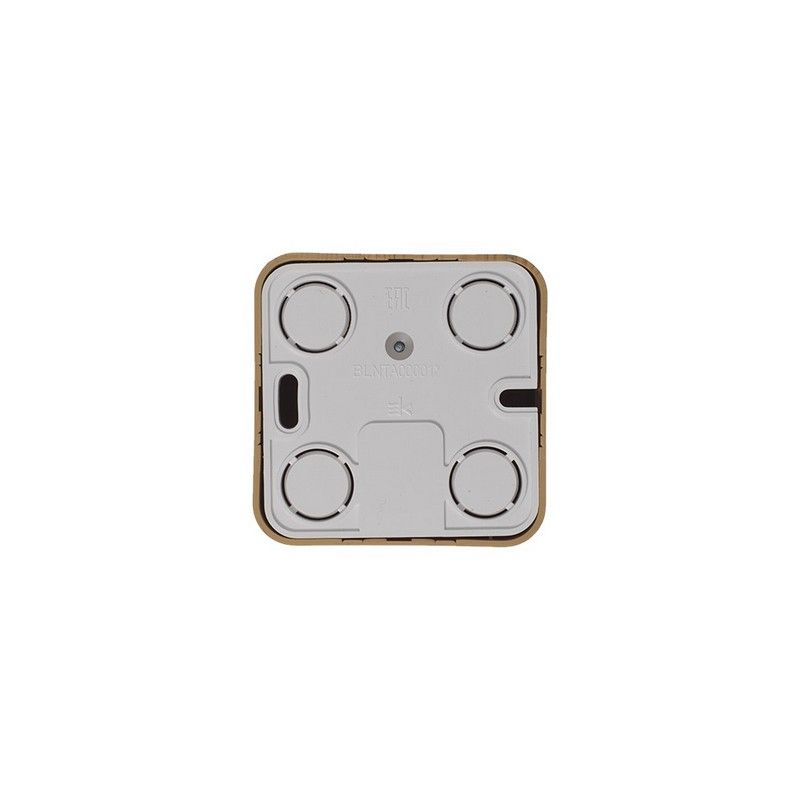 Blanca ясень розетки и выключатели Розетка SE Blanca TV Ясень наружный изолир. пластина BLNTA000015