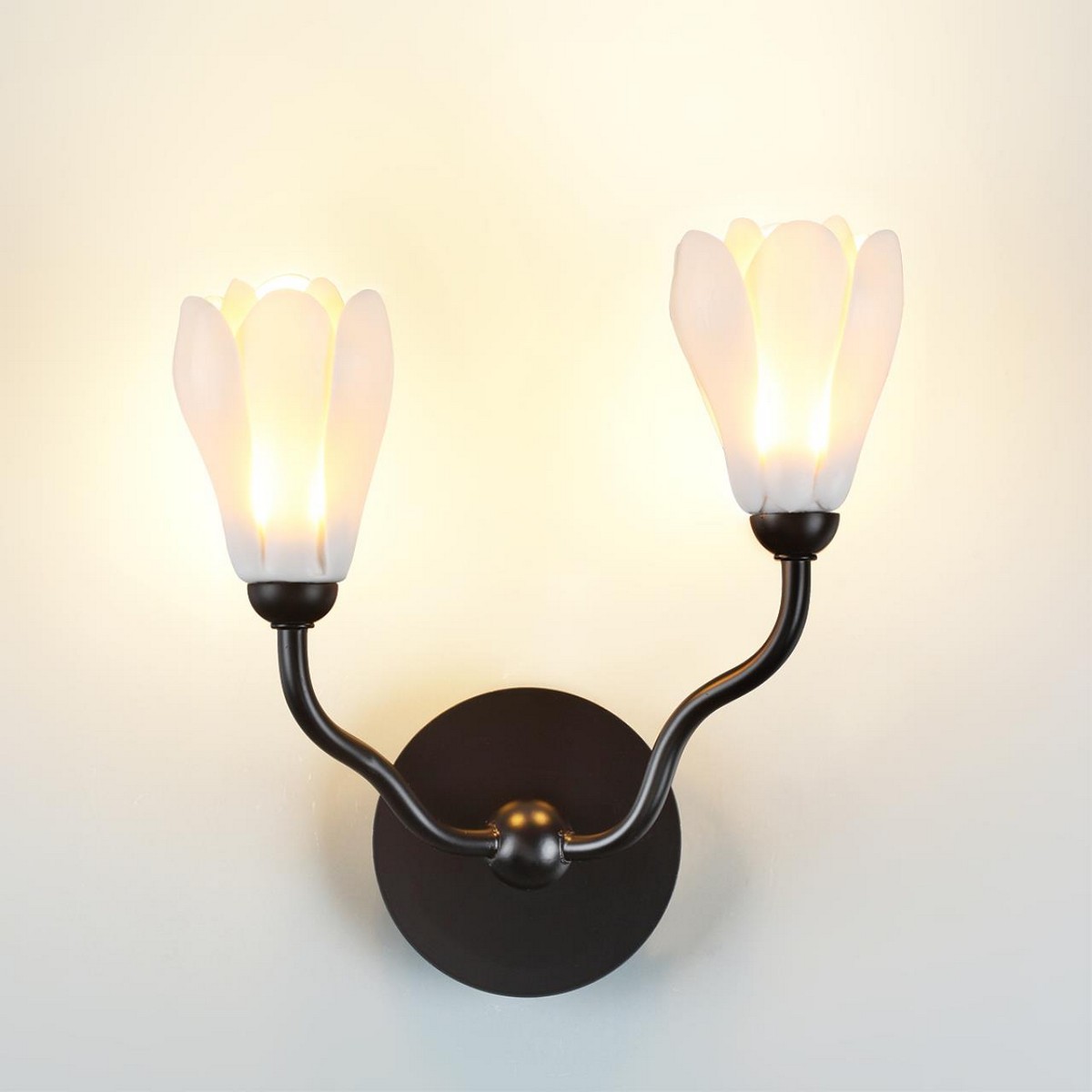 Бра Бра ODEON LIGHT 5090/2W GARDI G4 LED 