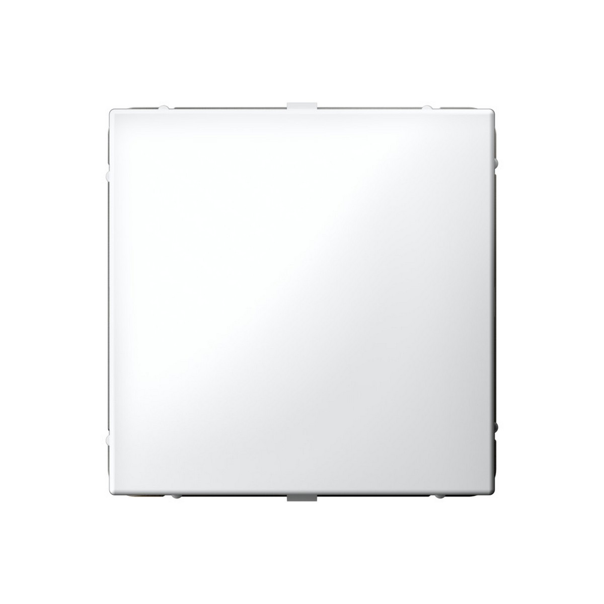 ArtGallery Белый Заглушка Systeme Electric ArtGallery Белый без суппорта для многопостовых рамок GAL000109