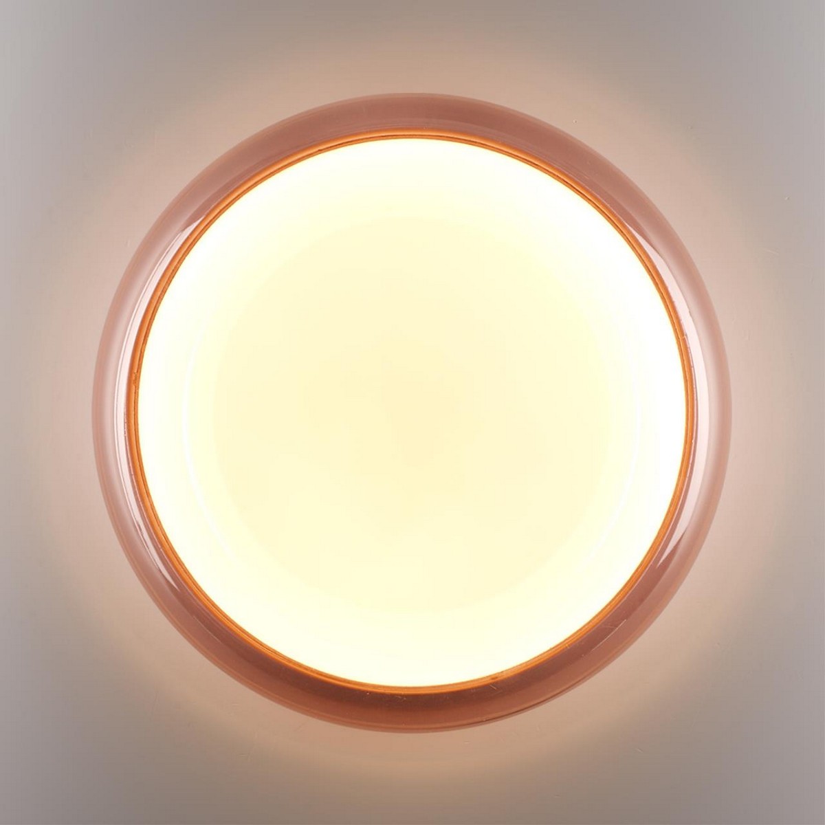 Накладные светодиодные светильники Настенно-потолочный светильник СОНЕКС 7778/ELN PORTMAN 