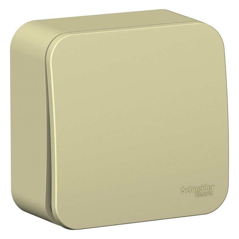 Blanca бежевые розетки и выключатели Переключатель SE Blanca 1-клавишный Бежевый наружный (cх.6) изолир. пластина BLNVA106017