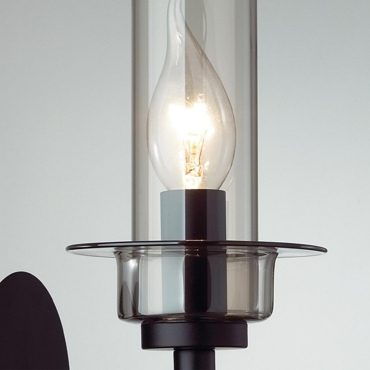 Бра Бра LUMION 6555/1W MADONNA 