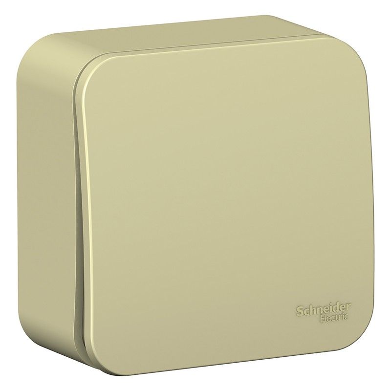 Blanca бежевые розетки и выключатели Выключатель SE Blanca 1-клавишный Бежевый наружный (cх.1) изолир. пластина BLNVA101017