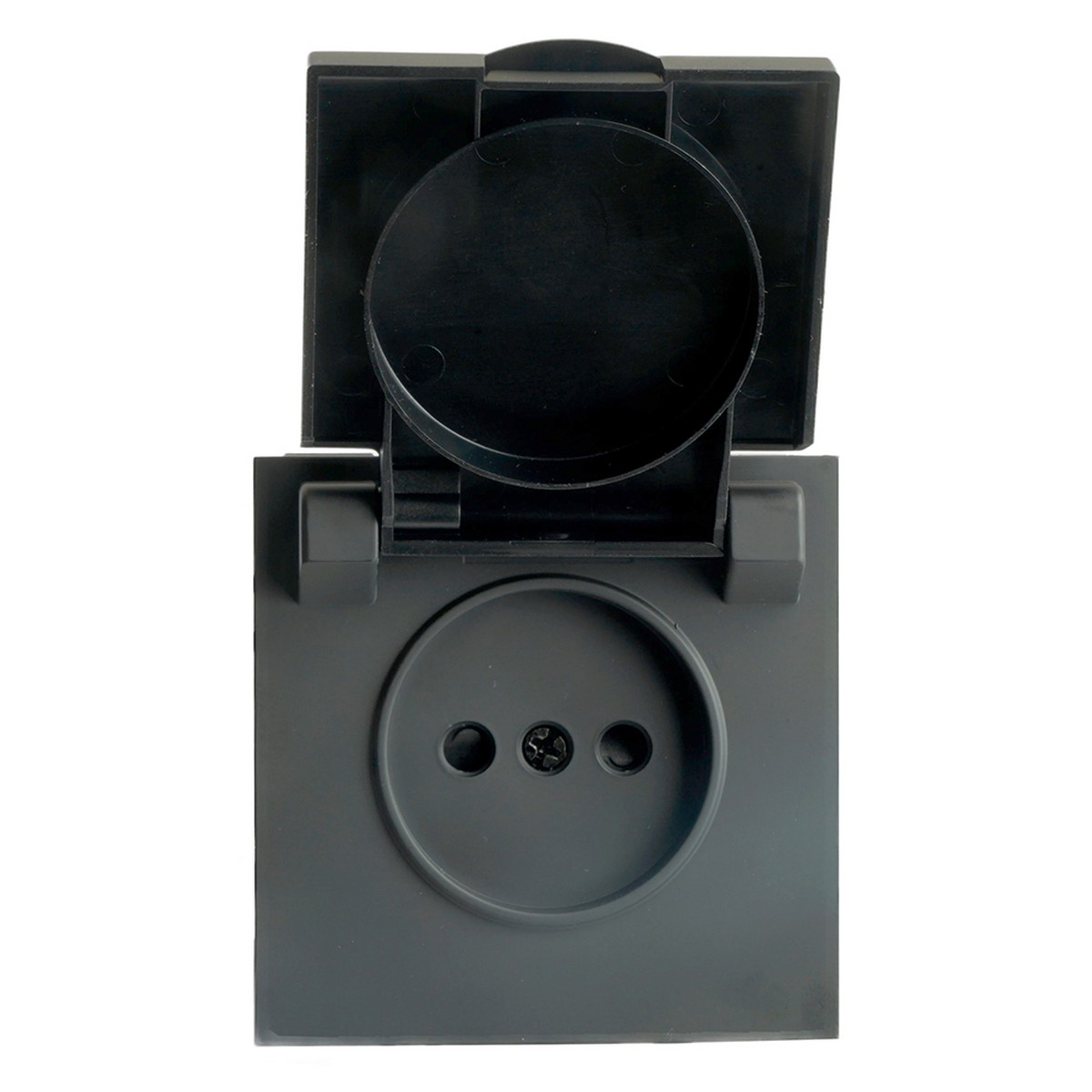 Эмили - Розетки и выключатели Stekker Розетка 1-ая с крышкой с защ. штор б/з STEKKER Эмили RST16-5113-05 черный уголь soft touch 49852