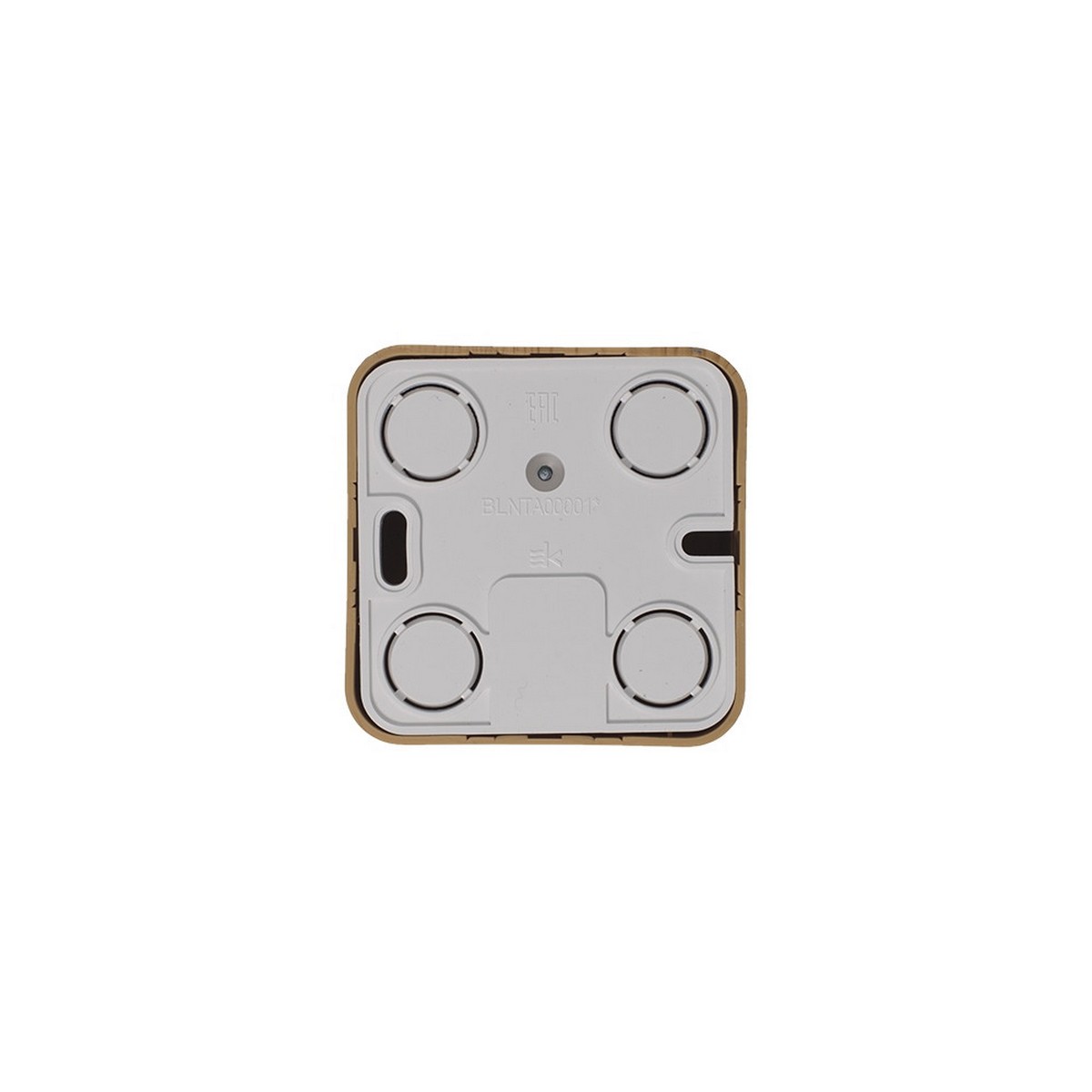 Blanca ясень розетки и выключатели Розетка SE Blanca TV Ясень наружный изолир. пластина BLNTA000015