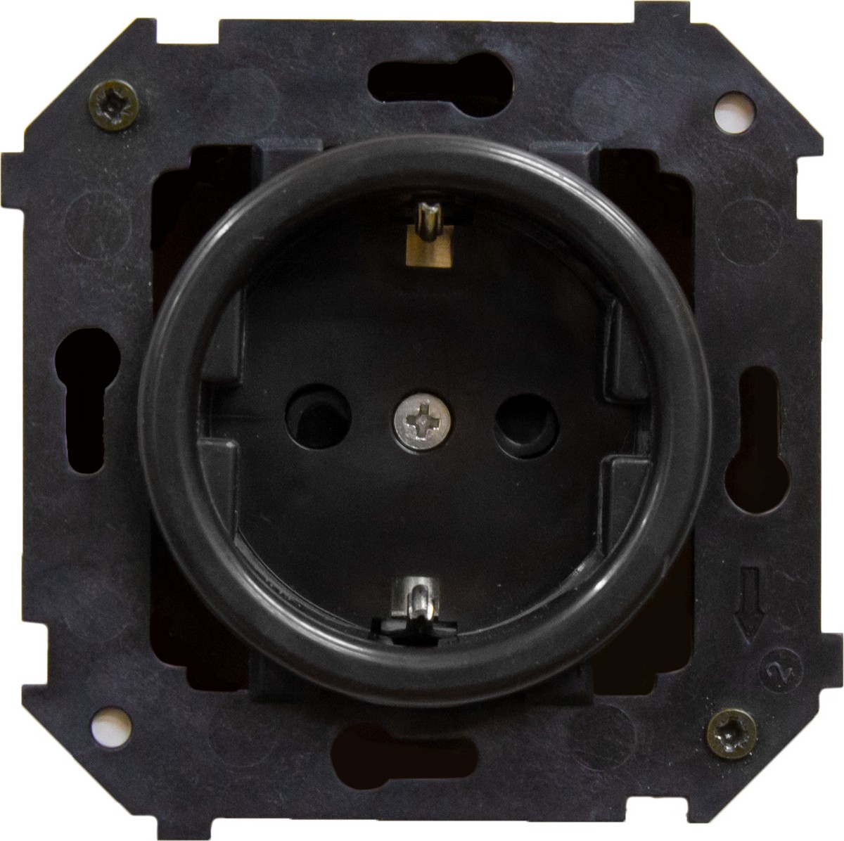 Bironi Лизетта - Ретро розетки и выключатели Розетка BIRONI Шедель Пластик Черный с/з (скрытый монтаж) B3-101-23