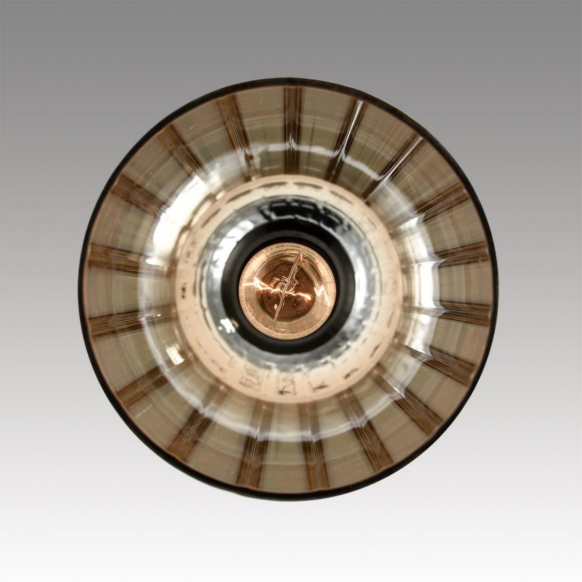 Подвесные светодиодные светильники Светильник подвесной LUMION 8065/1A LORENZO 