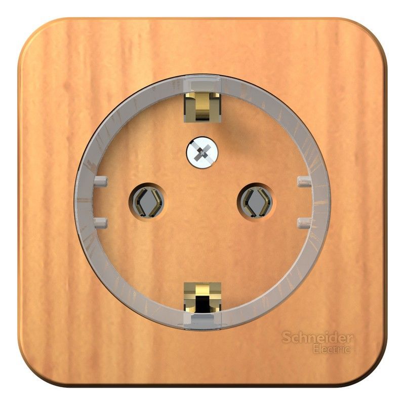 Blanca ясень розетки и выключатели Розетка SE Blanca с/з Ясень наружный без шторок (тонкая) BLNRA110115