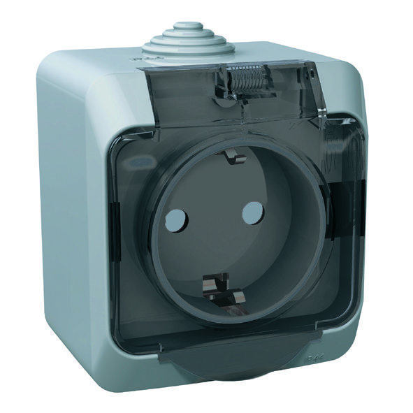 Этюд Серый Розетка 1-ая Systeme Electric Этюд наружный Серая с/з с крышкой, с защитными шторками IP44 PA16-04