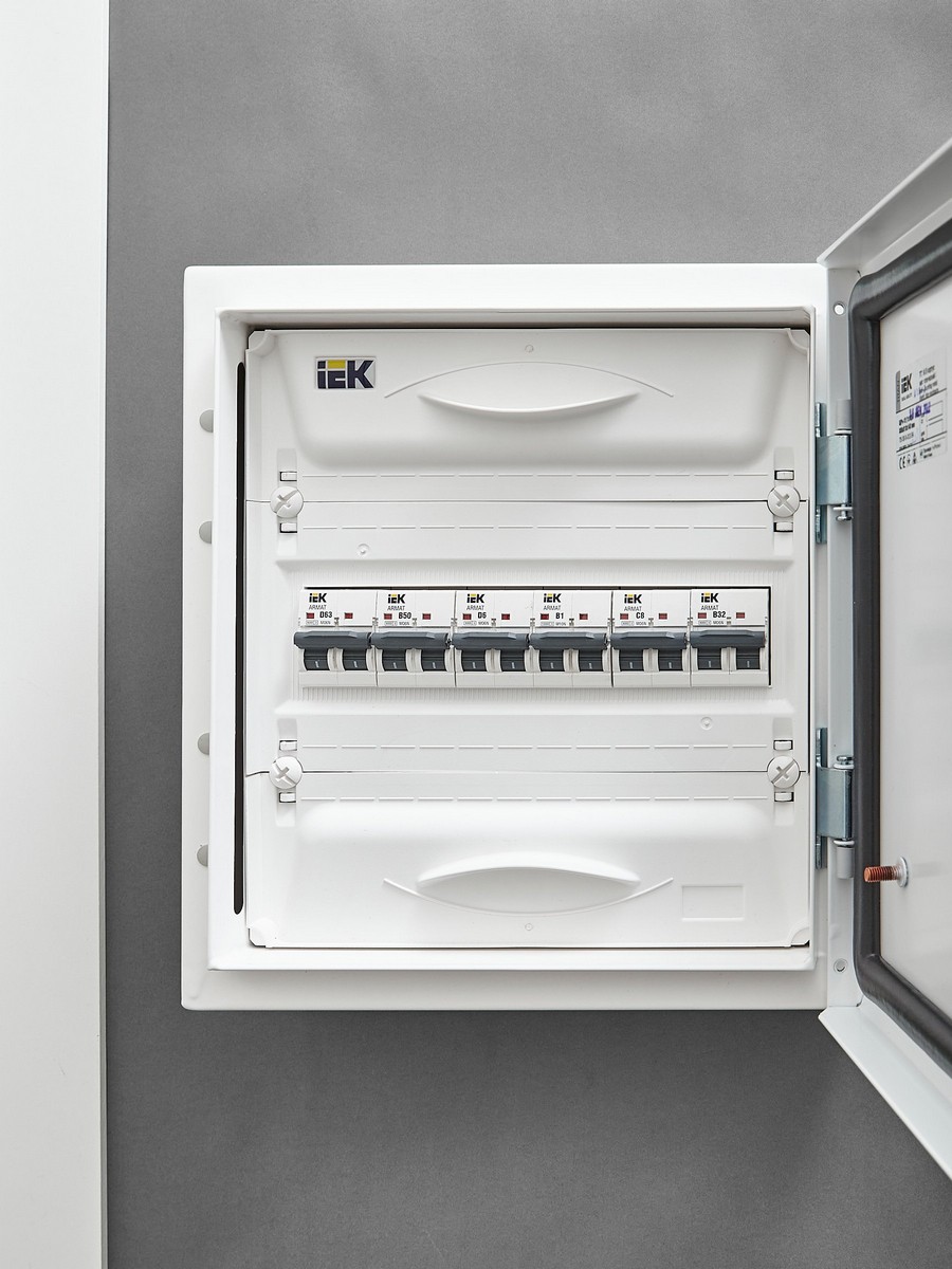 2 полюсные (двухполюсные) Автоматический выключатель IEK ARMAT M06N 2P D 6А AR-M06N-2-D006 