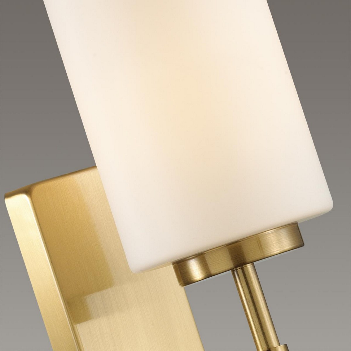 Бра Бра ODEON LIGHT 4990/1W KASALI 