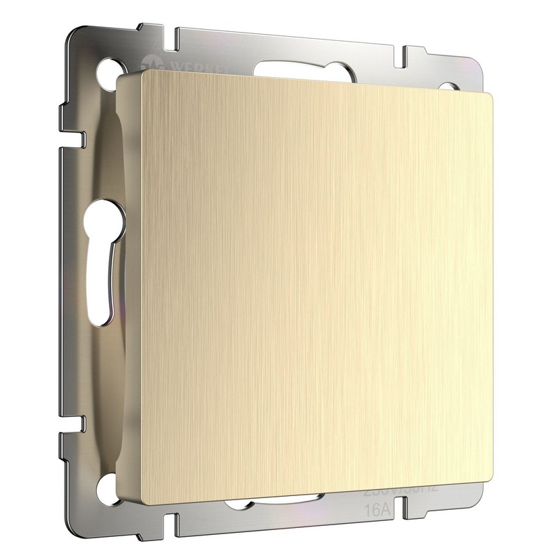 Werkel Шампань рифленный механизмы Заглушка Werkel  (шампань рифленый) W1159210