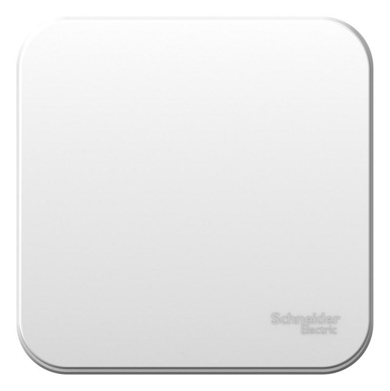 Blanca белые розетки и выключатели Переключатель SE Blanca 1-клавишный Белый наружный изолир. пластина BLNVA106011