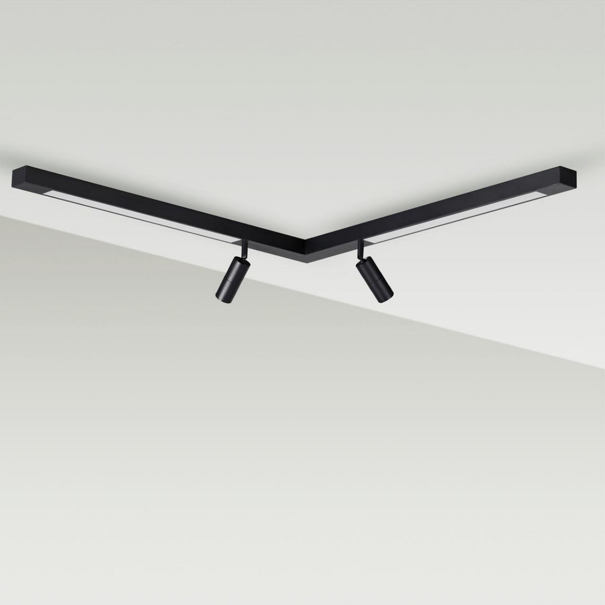 Накладные светодиодные светильники Потолочный светильник LUMION 5690/19CL HAWK