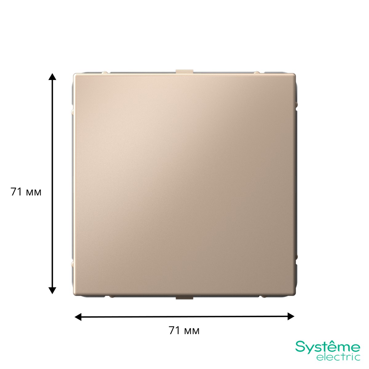 ArtGallery Песочный Заглушка Systeme Electric ArtGallery Песочный без суппорта для многопостовых рамок GAL001209