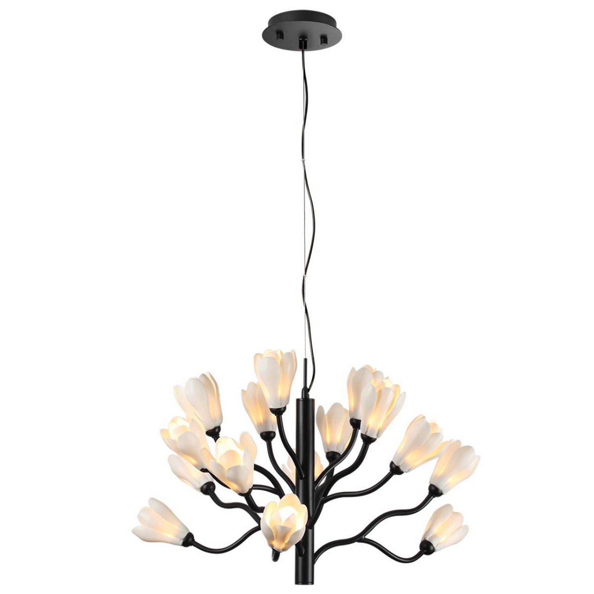 Люстры Люстра ODEON LIGHT 5090/15 GARDI G4 LED 