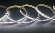 Светодиодная лента белая холодная Светодиодная лента Eleganz LUX 3014 IP20 12V 24 Вт/м 240 Led/м Холодный белый 6000K (цена за метр) EL-LS-24W 