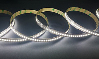 Светодиодная лента белая холодная Светодиодная лента Eleganz LUX 3014 IP20 12V 24 Вт/м 240 Led/м Холодный белый 6000K (цена за метр) EL-LS-24W 